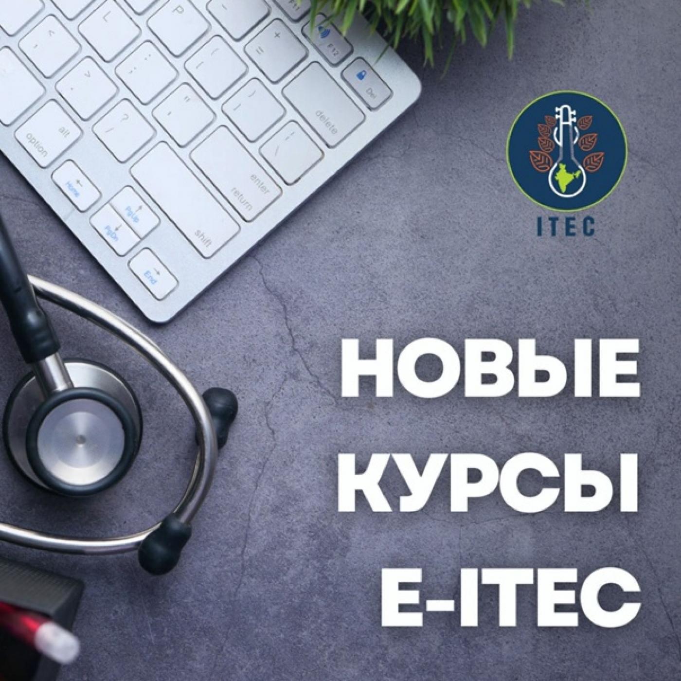 Участие в индийских онлайн-курсах e-ITEC